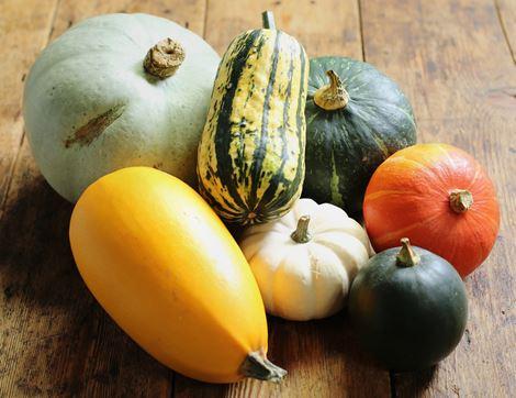 Seasonal Squash Box