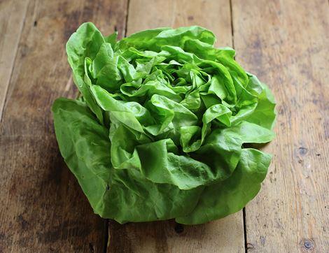 Green Lettuce