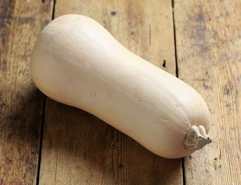 English Butternut Squash