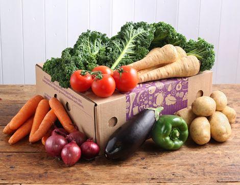 Small Very Veggie Veg Box