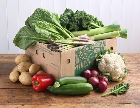 Medium Very Veggie Veg Box