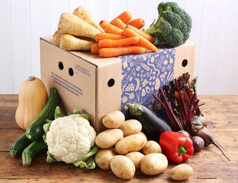 Large Very Veggie Veg Box