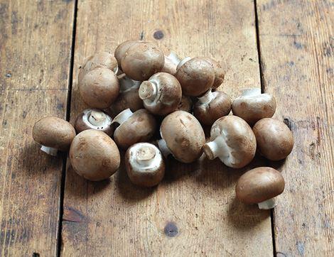 Chestnut Button Mushrooms