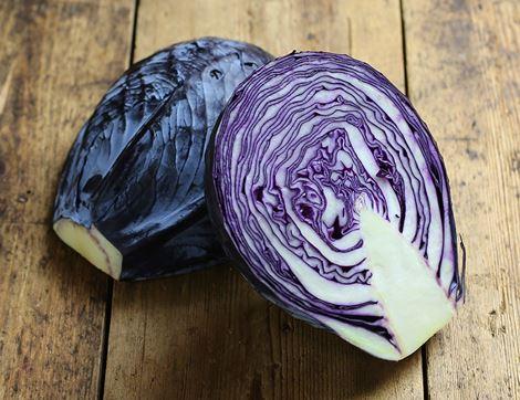 Red Cabbage