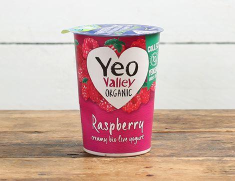 Raspberry Yogurt