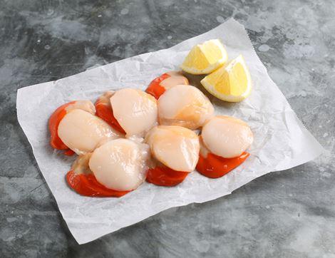 Limited Edition Hand-Dived Wild Scallops