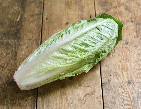 Romaine Lettuce