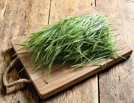 Wheatgrass