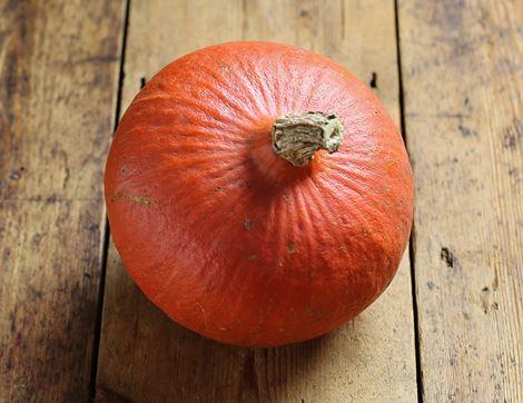 Red Onion Squash