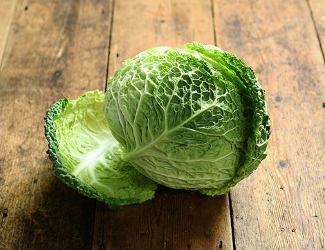 Winter Cabbage