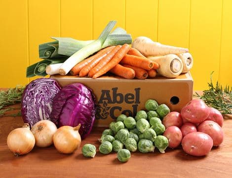 The Organic Christmas Veg Box - Small