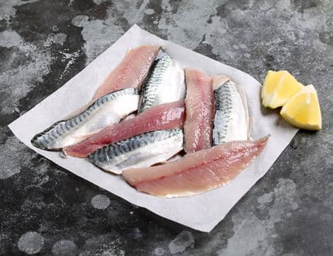 Wild Mackerel Fillets