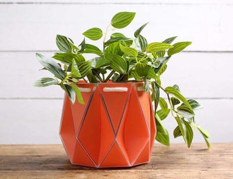 Self-Watering Origami Planter, Coral