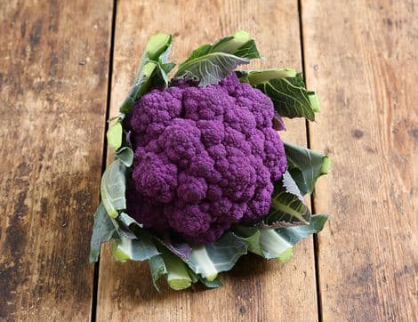 English Purple Cauliflower