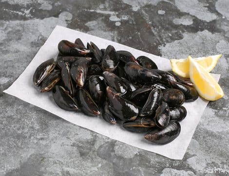 Wild Welsh Mussels