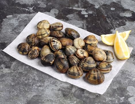 Wild English Clams