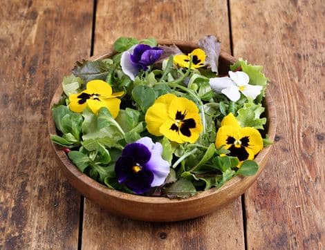 Salad Mix & Edible Flowers