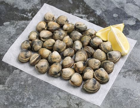 Wild Hand-Gathered Cockles, Dayboat Range