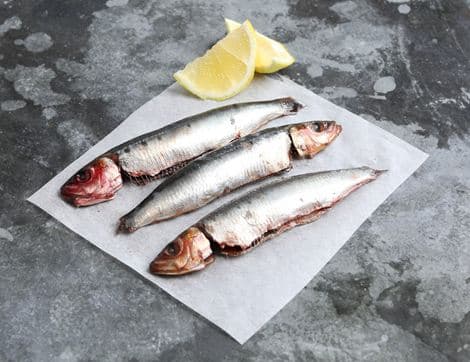 Wild Whole Sardines, Dayboat Range