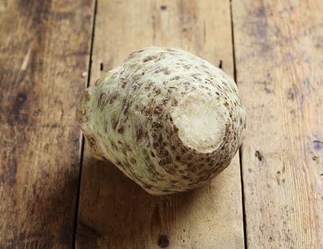 Small Celeriac