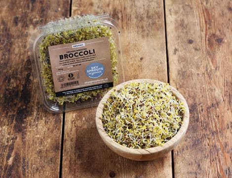 Broccoli Sprouts
