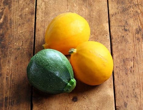 Round Courgettes