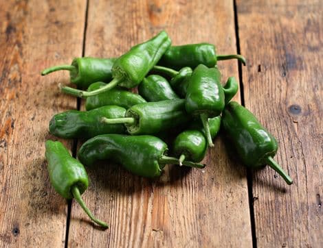 Padrón Peppers