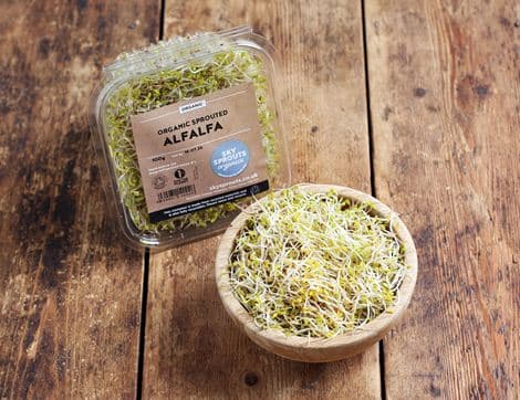 Alfalfa Sprouts