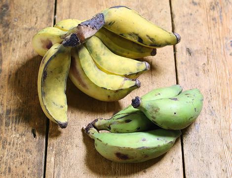 Apple Bananas, Organic (500g)