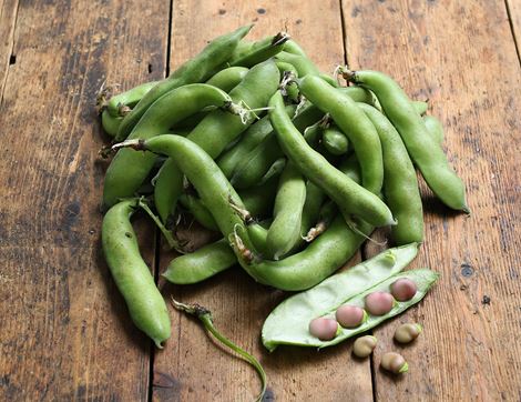 Purple Broad Beans, Organic (750g)