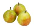 Comice Pears