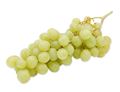Grapes, White Seedless