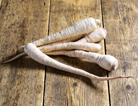 Parsley Root Bunch, Organic