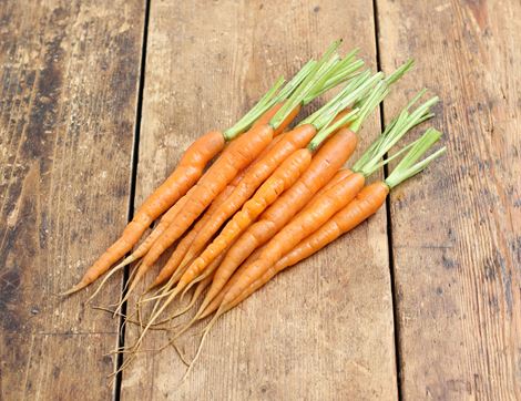 snacking carrots