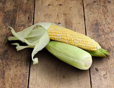 two tone sweetcorn