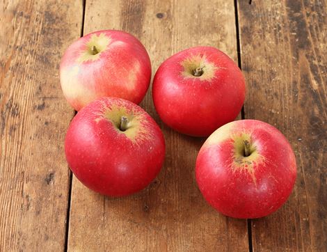 early windsor apples