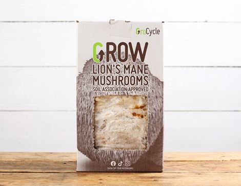 lion's mane mushroom growing kit grocycle