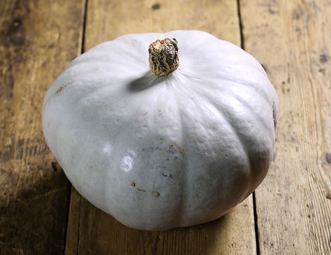 Large Crown Prince Squash, Organic