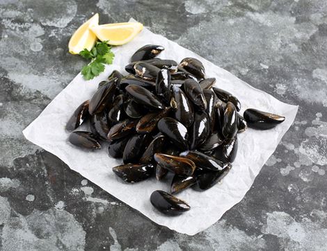 rope grown mussels