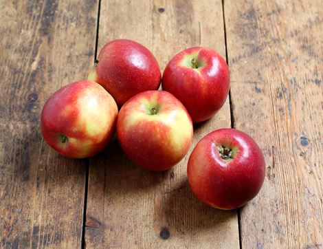 english stardance apples