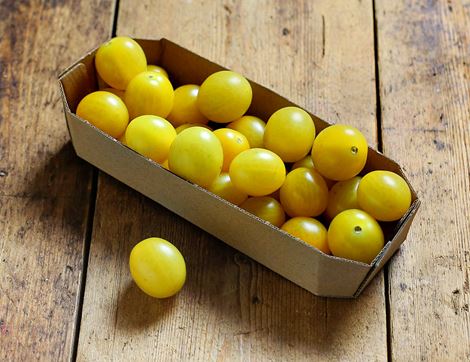 Yellow Baby Plum Tomatoes, Organic (250g)