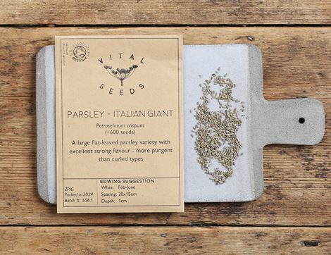 Parsley Seeds, Italian Giant, Organic, Vital Seeds