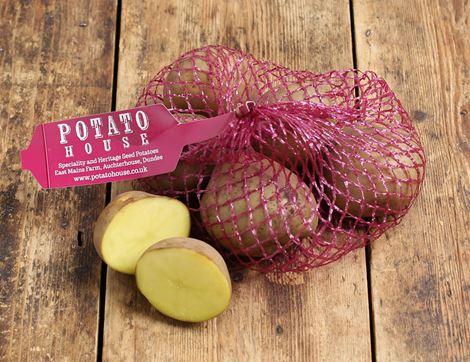 Orla White Seed Potatoes, Organic, Potato House (6 tubers)