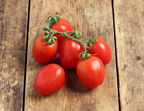 piccadilly vine tomatoes