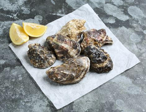 English Oysters, Non-Organic, The Fish Society (pack of 6)