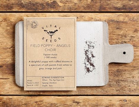 Poppy Seeds, Angels Choir, Organic, Vital Seeds