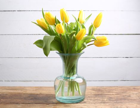 Dutch Tulips, Organic (10 stems)