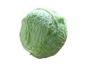 Green Cabbage