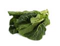 Spring Greens Spring Greens
