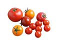 English Tomato Mix, Organic (225g) English Tomato Mix, Organic (225g)